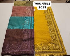 Hs Women Saree Chandni chowk